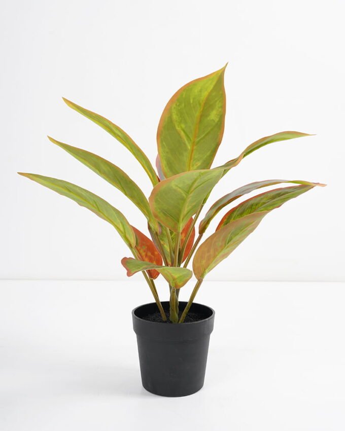 Artificial Plant 32*32*34cm Rohdea japonica in pp pot GS-06921033-G1 Potted Flowers&Plants 3,000+ sqm showroom with thousands of artificial flowers, plants & trees ready for global sourcing.