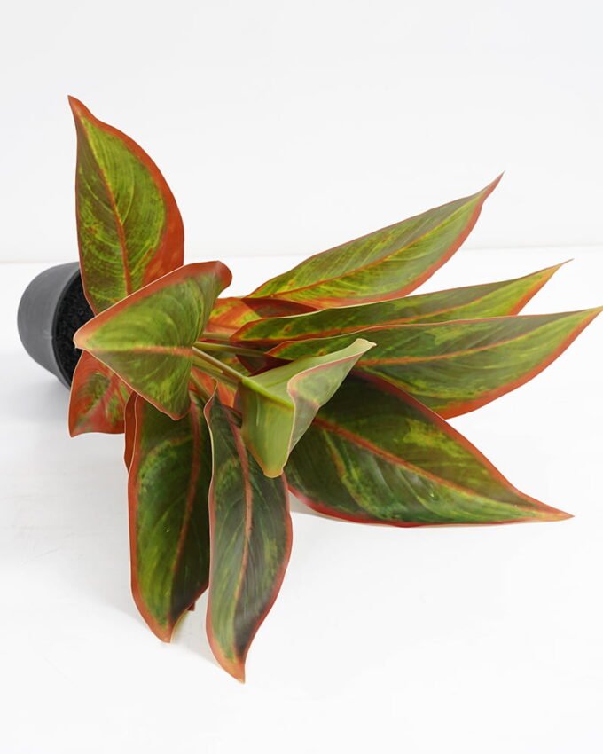 Artificial Plant 32*32*34cm Rohdea japonica in pp pot GS-06921033-G1 Potted Flowers&Plants 3,000+ sqm showroom with thousands of artificial flowers, plants & trees ready for global sourcing.