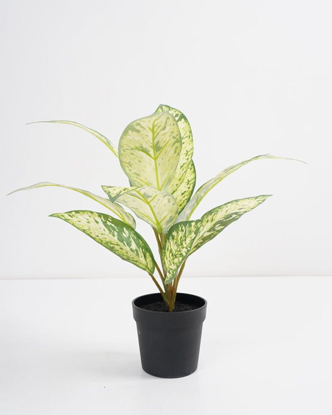 Artificial Plant 32*32*34cm Rohdea japonica in pp pot GS-06921033-G2 Potted Flowers&Plants 3,000+ sqm showroom with thousands of artificial flowers, plants & trees ready for global sourcing.