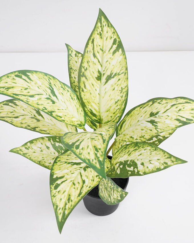 Artificial Plant 32*32*34cm Rohdea japonica in pp pot GS-06921033-G2 Potted Flowers&Plants 3,000+ sqm showroom with thousands of artificial flowers, plants & trees ready for global sourcing.