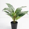 Artificial Plant 32*32*34cm Rohdea japonica in pp pot GS-06921033-G3 Potted Flowers&Plants 3,000+ sqm showroom with thousands of artificial flowers, plants & trees ready for global sourcing.