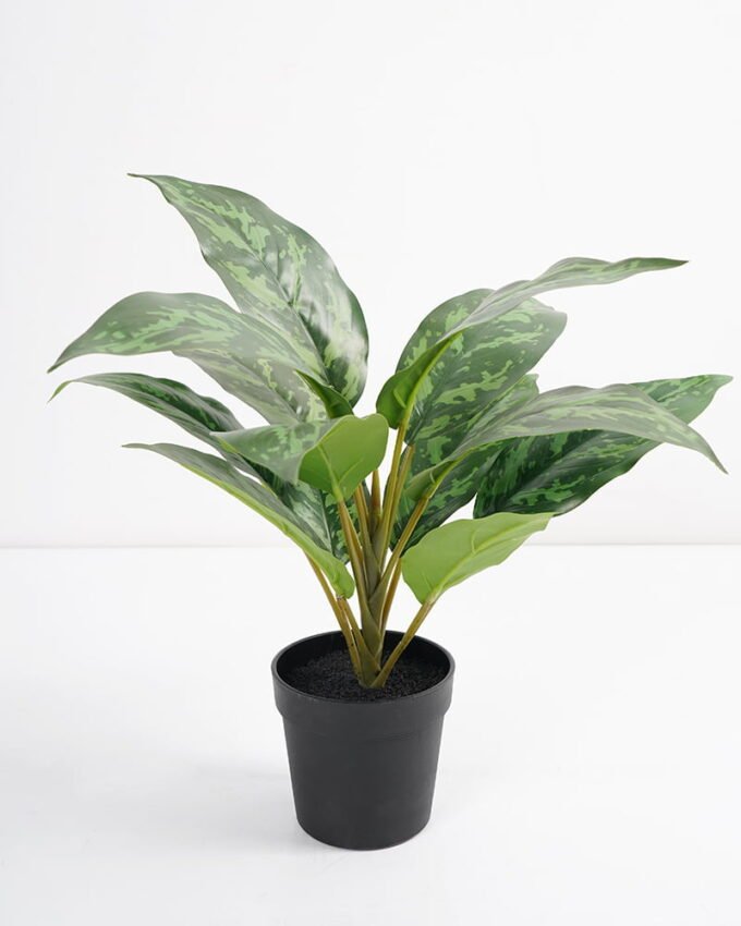 Artificial Plant 32*32*34cm Rohdea japonica in pp pot GS-06921033-G3 Potted Flowers&Plants 3,000+ sqm showroom with thousands of artificial flowers, plants & trees ready for global sourcing.