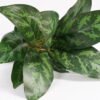 Artificial Plant 32*32*34cm Rohdea japonica in pp pot GS-06921033-G3 Potted Flowers&Plants 3,000+ sqm showroom with thousands of artificial flowers, plants & trees ready for global sourcing.