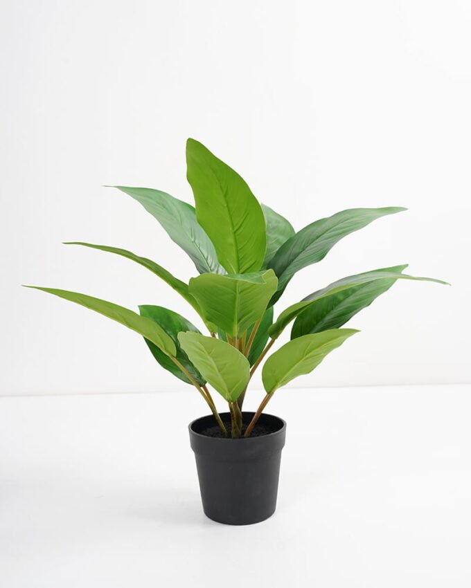 Artificial Plant 32*32*34cm Rohdea japonica in pp pot GS-06921033-G4 Potted Flowers&Plants 3,000+ sqm showroom with thousands of artificial flowers, plants & trees ready for global sourcing.