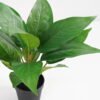 Artificial Plant 32*32*34cm Rohdea japonica in pp pot GS-06921033-G4 Potted Flowers&Plants 3,000+ sqm showroom with thousands of artificial flowers, plants & trees ready for global sourcing.