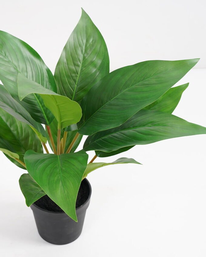 Artificial Plant 32*32*34cm Rohdea japonica in pp pot GS-06921033-G4 Potted Flowers&Plants 3,000+ sqm showroom with thousands of artificial flowers, plants & trees ready for global sourcing.