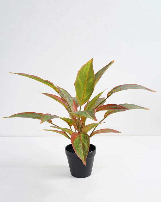 Artificial Plant 44*44*45cm Rohdea japonica in pp pot GS-06921034-G1 Potted Flowers&Plants 3,000+ sqm showroom with thousands of artificial flowers, plants & trees ready for global sourcing.