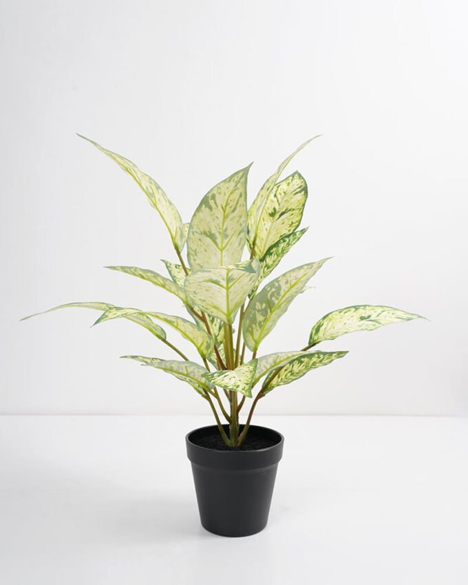 Artificial Plant 44*44*45cm Rohdea japonica in pp pot GS-06921034-G2 Potted Flowers&Plants 3,000+ sqm showroom with thousands of artificial flowers, plants & trees ready for global sourcing.