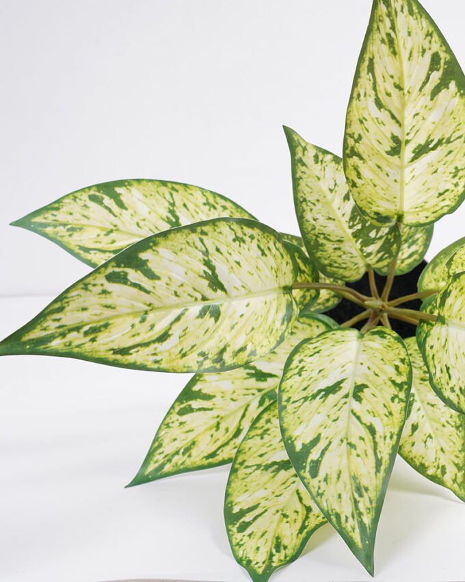 Artificial Plant 44*44*45cm Rohdea japonica in pp pot GS-06921034-G2 Potted Flowers&Plants 3,000+ sqm showroom with thousands of artificial flowers, plants & trees ready for global sourcing.
