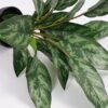Artificial Plant 44*44*45cm Rohdea japonica in pp pot GS-06921034-G3 Potted Flowers&Plants 3,000+ sqm showroom with thousands of artificial flowers, plants & trees ready for global sourcing.