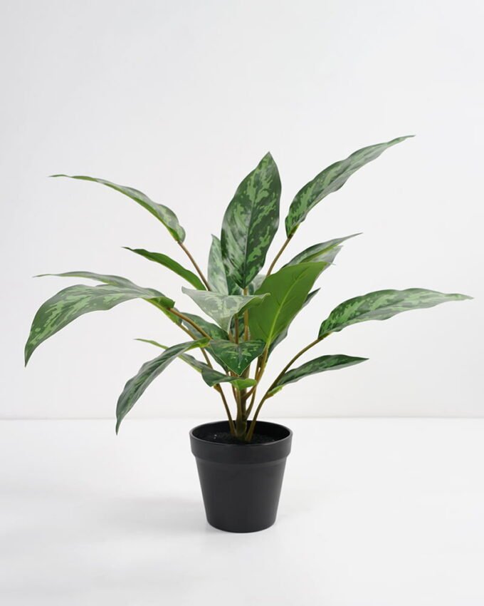 Artificial Plant 44*44*45cm Rohdea japonica in pp pot GS-06921034-G3 Potted Flowers&Plants 3,000+ sqm showroom with thousands of artificial flowers, plants & trees ready for global sourcing.