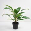 Artificial Plant 44*44*45cm Rohdea japonica in pp pot GS-06921034-G4 Potted Flowers&Plants 3,000+ sqm showroom with thousands of artificial flowers, plants & trees ready for global sourcing.