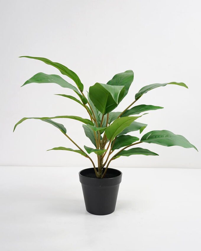 Artificial Plant 44*44*45cm Rohdea japonica in pp pot GS-06921034-G4 Potted Flowers&Plants 3,000+ sqm showroom with thousands of artificial flowers, plants & trees ready for global sourcing.