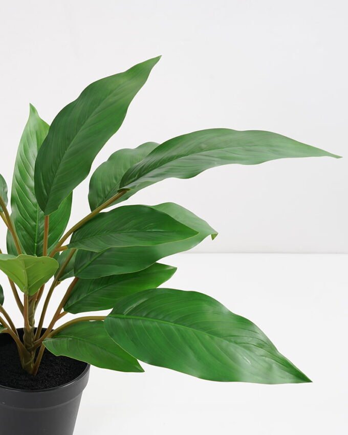 Artificial Plant 44*44*45cm Rohdea japonica in pp pot GS-06921034-G4 Potted Flowers&Plants 3,000+ sqm showroom with thousands of artificial flowers, plants & trees ready for global sourcing.