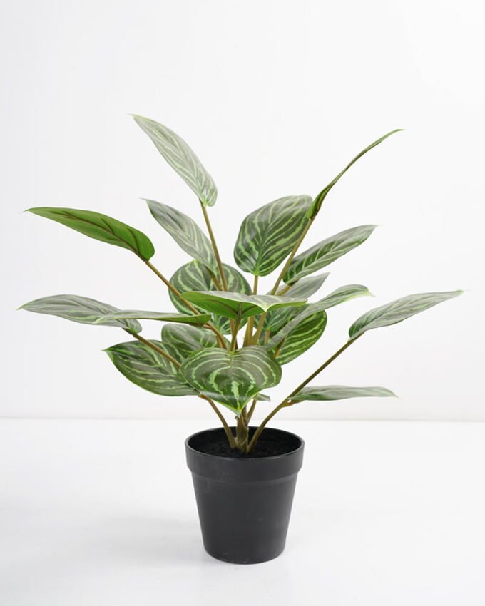 Artificial Plant 36*36*42cm Rohdea japonica in pp pot GS-06921035-G2 Potted Flowers&Plants 3,000+ sqm showroom with thousands of artificial flowers, plants & trees ready for global sourcing.