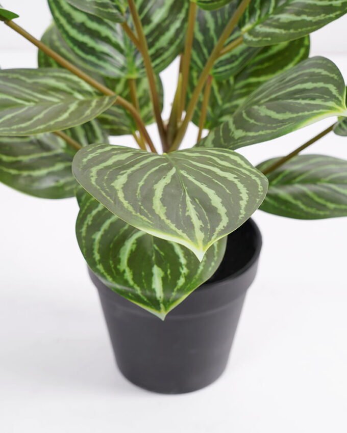 Artificial Plant 36*36*42cm Rohdea japonica in pp pot GS-06921035-G2 Potted Flowers&Plants 3,000+ sqm showroom with thousands of artificial flowers, plants & trees ready for global sourcing.