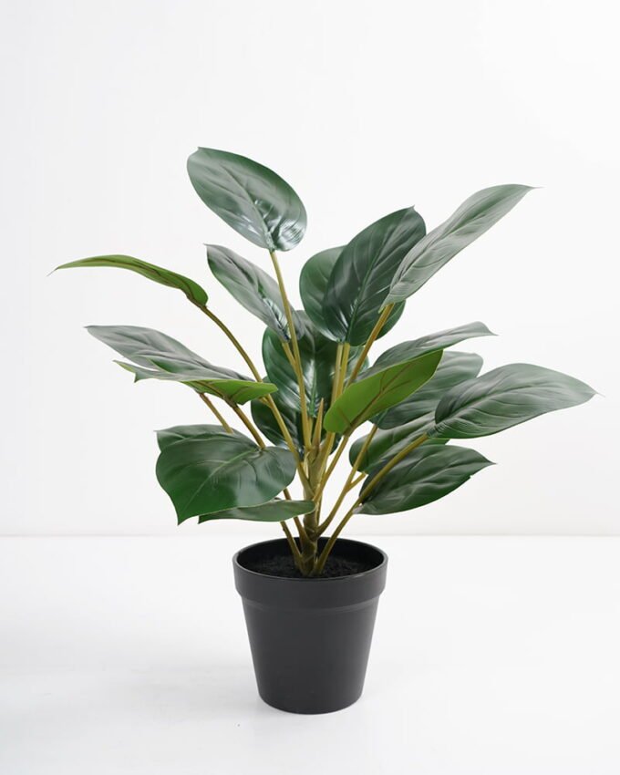 Artificial Plant 36*36*42cm Rohdea japonica in pp pot GS-06921035-G3 Potted Flowers&Plants 3,000+ sqm showroom with thousands of artificial flowers, plants & trees ready for global sourcing.