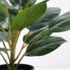 Artificial Plant 36*36*42cm Rohdea japonica in pp pot GS-06921035-G3 Potted Flowers&Plants 3,000+ sqm showroom with thousands of artificial flowers, plants & trees ready for global sourcing.