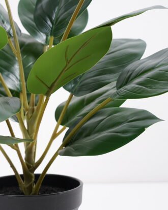 Artificial Plant 36*36*42cm Rohdea japonica in pp pot GS-06921035-G3 Potted Flowers&Plants YeahFlower is one of Chinese leading OEM manufacturers and exporters , supplying the silk flowers, wholesale artificial trees