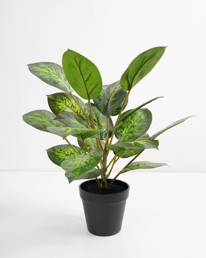 Artificial Plant 36*36*42cm Rohdea japonica in pp pot GS-06921035-G4 Potted Flowers&Plants 3,000+ sqm showroom with thousands of artificial flowers, plants & trees ready for global sourcing.