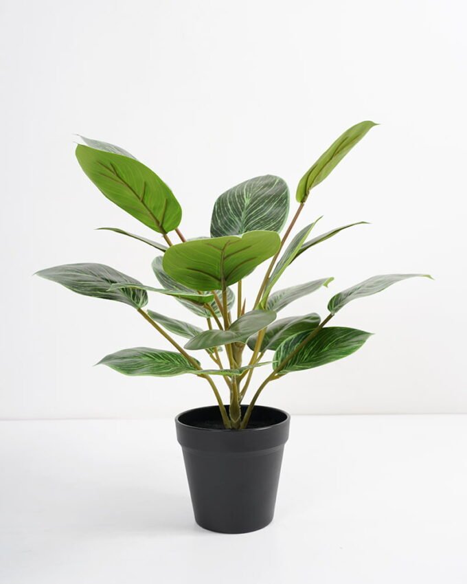 Artificial Plant 36*36*42cm Rohdea japonica in pp pot GS-06921035-G5 Potted Flowers&Plants 3,000+ sqm showroom with thousands of artificial flowers, plants & trees ready for global sourcing.