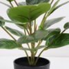 Artificial Plant 36*36*42cm Rohdea japonica in pp pot GS-06921035-G5 Potted Flowers&Plants 3,000+ sqm showroom with thousands of artificial flowers, plants & trees ready for global sourcing.