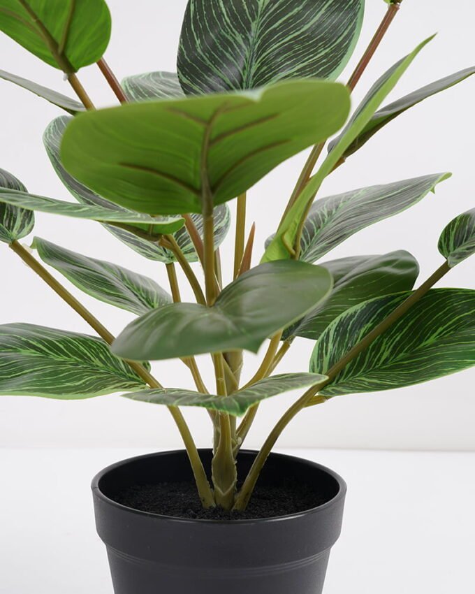 Artificial Plant 36*36*42cm Rohdea japonica in pp pot GS-06921035-G5 Potted Flowers&Plants 3,000+ sqm showroom with thousands of artificial flowers, plants & trees ready for global sourcing.