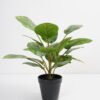 Artificial Plant 36*36*42cm Rohdea japonica in pp pot GS-06921035-G6 Potted Flowers&Plants 3,000+ sqm showroom with thousands of artificial flowers, plants & trees ready for global sourcing.