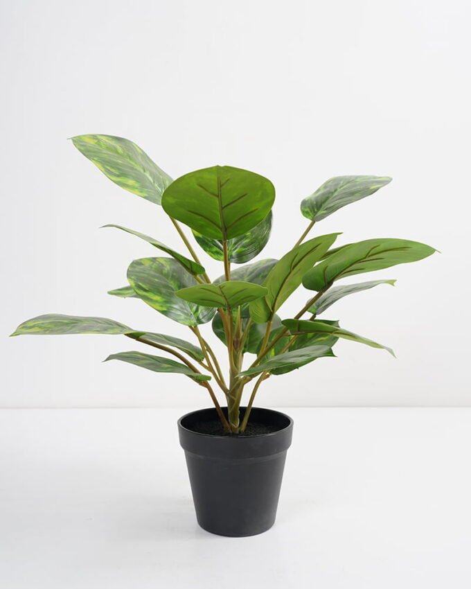 Artificial Plant 36*36*42cm Rohdea japonica in pp pot GS-06921035-G6 Potted Flowers&Plants 3,000+ sqm showroom with thousands of artificial flowers, plants & trees ready for global sourcing.