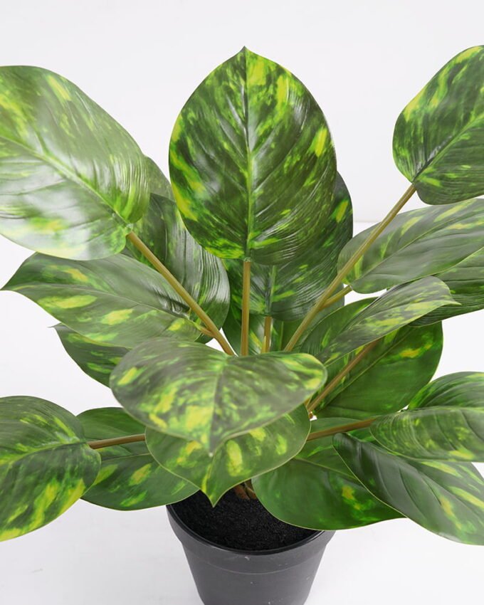 Artificial Plant 36*36*42cm Rohdea japonica in pp pot GS-06921035-G6 Potted Flowers&Plants 3,000+ sqm showroom with thousands of artificial flowers, plants & trees ready for global sourcing.