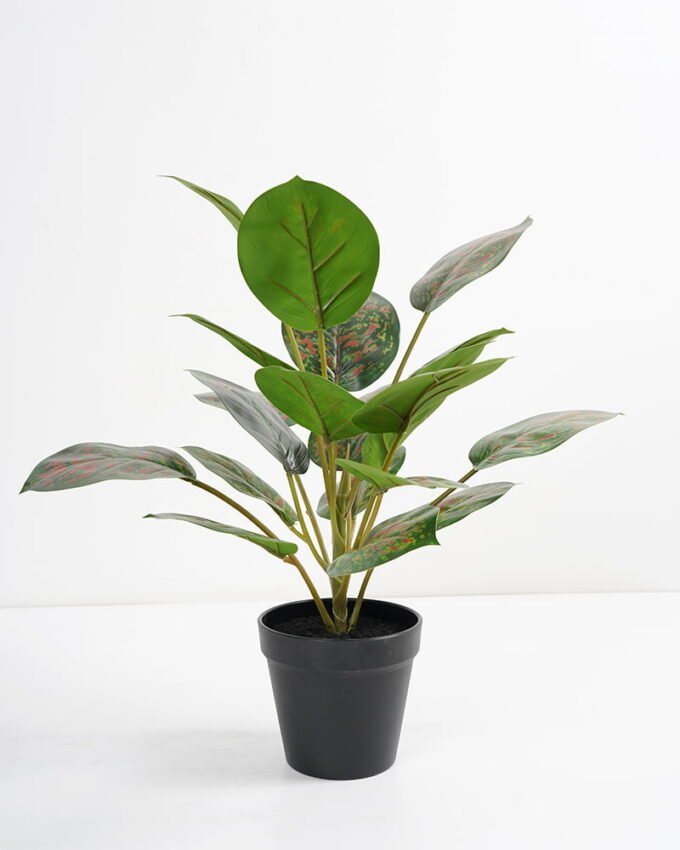 Artificial Plant 36*36*42cm Rohdea japonica in pp pot GS-06921035 Potted Flowers&Plants 3,000+ sqm showroom with thousands of artificial flowers, plants & trees ready for global sourcing.