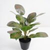 Artificial Plant 36*36*42cm Rohdea japonica in pp pot GS-06921035 Potted Flowers&Plants 3,000+ sqm showroom with thousands of artificial flowers, plants & trees ready for global sourcing.