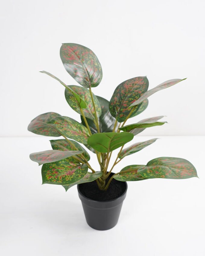 Artificial Plant 36*36*42cm Rohdea japonica in pp pot GS-06921035 Potted Flowers&Plants 3,000+ sqm showroom with thousands of artificial flowers, plants & trees ready for global sourcing.
