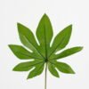 Artificial-Plant-Single-leaf-GS-23121009_1-1.jpg Artificial Plant 24*57CM Single leaf GS-23121009 Leaves&Sprays&Foliages YeahFlower is one of Chinese leading OEM manufacturers and exporters , supplying the silk flowers, wholesale artificial trees