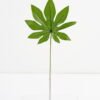 Artificial-Plant-Single-leaf-GS-23121009_5-1.jpg Artificial Plant 24*57CM Single leaf GS-23121009 Leaves&Sprays&Foliages YeahFlower is one of Chinese leading OEM manufacturers and exporters , supplying the silk flowers, wholesale artificial trees