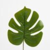 Artificial Plant 21*60CM Single monstera leaf GS-23121008 Leaves&Sprays&Foliages YeahFlower is one of Chinese leading OEM manufacturers and exporters , supplying the silk flowers, wholesale artificial trees