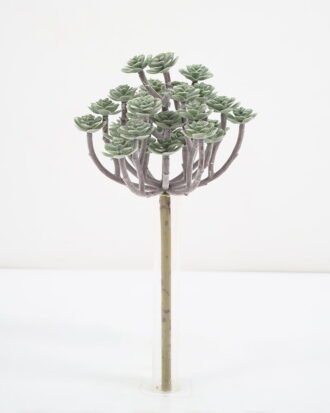 Artificial Plant 13*11.5*24CM Succulent *34 GS-54021016 Leaves&Sprays&Foliages YeahFlower is one of Chinese leading OEM manufacturers and exporters , supplying the silk flowers, wholesale artificial trees