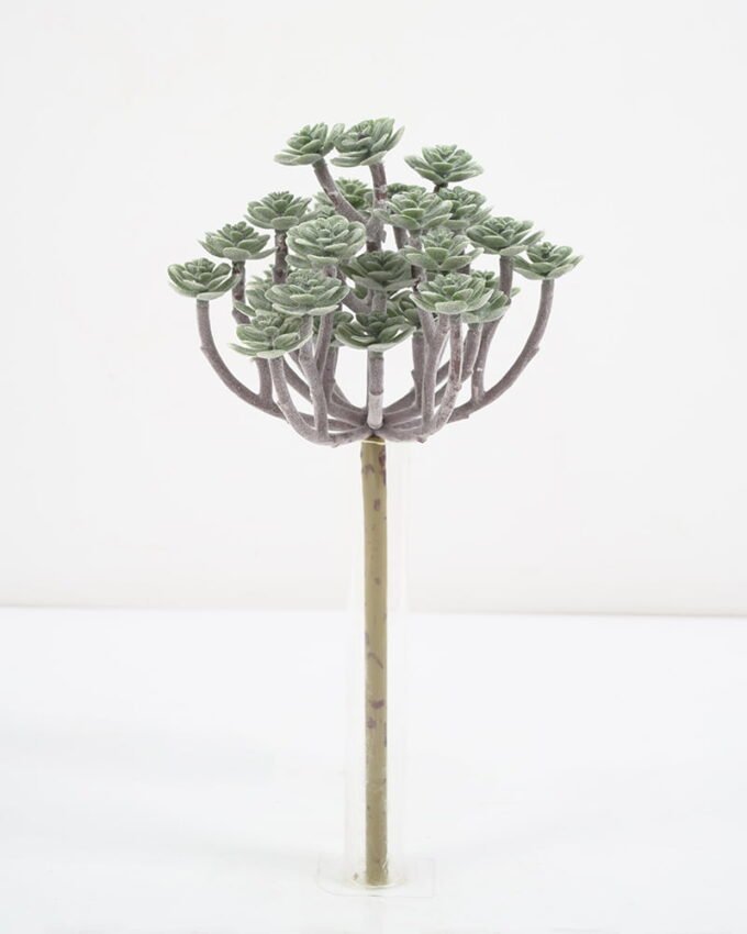 Artificial Plant 13*11.5*24CM Succulent *34 GS-54021016 Leaves&Sprays&Foliages YeahFlower is one of Chinese leading OEM manufacturers and exporters , supplying the silk flowers, wholesale artificial trees