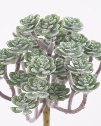 Artificial Plant 13*11.5*24CM Succulent *34 GS-54021016 Leaves&Sprays&Foliages YeahFlower is one of Chinese leading OEM manufacturers and exporters , supplying the silk flowers, wholesale artificial trees