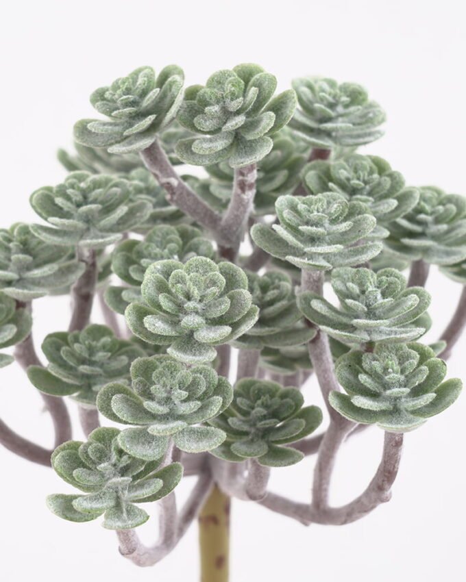Artificial Plant 13*11.5*24CM Succulent *34 GS-54021016 Leaves&Sprays&Foliages YeahFlower is one of Chinese leading OEM manufacturers and exporters , supplying the silk flowers, wholesale artificial trees