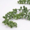Artificial Plant 10*34CM Succulent hanging*5 GS-54021017 Leaves&Sprays&Foliages YeahFlower is one of Chinese leading OEM manufacturers and exporters , supplying the silk flowers, wholesale artificial trees