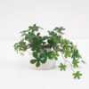 Artificial Plant Sugervine in ceramic pot GS-03321108-KSM Potted Flowers&Plants 3,000+ sqm showroom with thousands of artificial flowers, plants & trees ready for global sourcing.