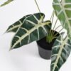 Artificial Plant 36*26*32cm Taro leaves in Plastic pot GS-03321002 Potted Flowers&Plants YeahFlower is one of Chinese leading OEM manufacturers and exporters , supplying the silk flowers, wholesale artificial trees