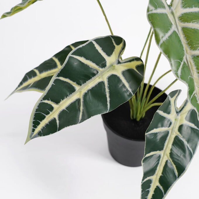 Artificial Plant 36*26*32cm Taro leaves in Plastic pot GS-03321002 Potted Flowers&Plants YeahFlower is one of Chinese leading OEM manufacturers and exporters , supplying the silk flowers, wholesale artificial trees