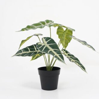 Artificial Plant 36*26*32cm Taro leaves in Plastic pot GS-03321002 Potted Flowers&Plants YeahFlower is one of Chinese leading OEM manufacturers and exporters , supplying the silk flowers, wholesale artificial trees