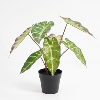 Artificial Plant 31*25*31cm Taro leaves in Plastic pot GS-03321003 Potted Flowers&Plants YeahFlower is one of Chinese leading OEM manufacturers and exporters , supplying the silk flowers, wholesale artificial trees