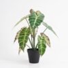 Artificial Plant 33*33*38cm Taro leaves in Plastic pot GS-03321004 Potted Flowers&Plants YeahFlower is one of Chinese leading OEM manufacturers and exporters , supplying the silk flowers, wholesale artificial trees