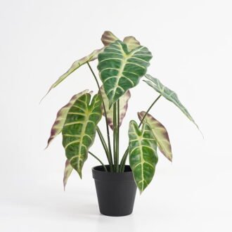 Artificial Plant 33*33*38cm Taro leaves in Plastic pot GS-03321004 Potted Flowers&Plants YeahFlower is one of Chinese leading OEM manufacturers and exporters , supplying the silk flowers, wholesale artificial trees