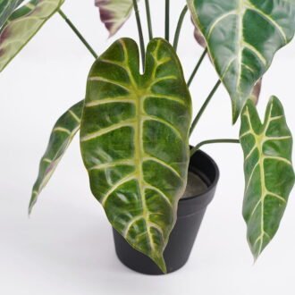 Artificial Plant 33*33*38cm Taro leaves in Plastic pot GS-03321004 Potted Flowers&Plants YeahFlower is one of Chinese leading OEM manufacturers and exporters , supplying the silk flowers, wholesale artificial trees