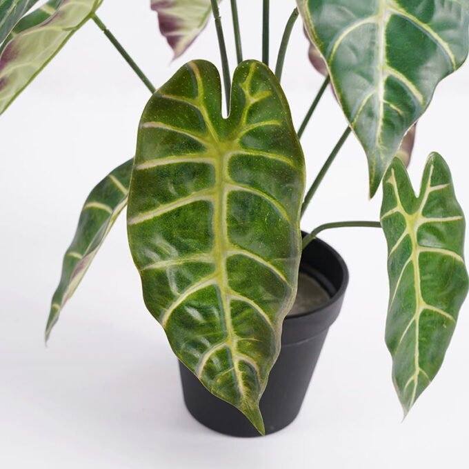 Artificial Plant 33*33*38cm Taro leaves in Plastic pot GS-03321004 Potted Flowers&Plants YeahFlower is one of Chinese leading OEM manufacturers and exporters , supplying the silk flowers, wholesale artificial trees